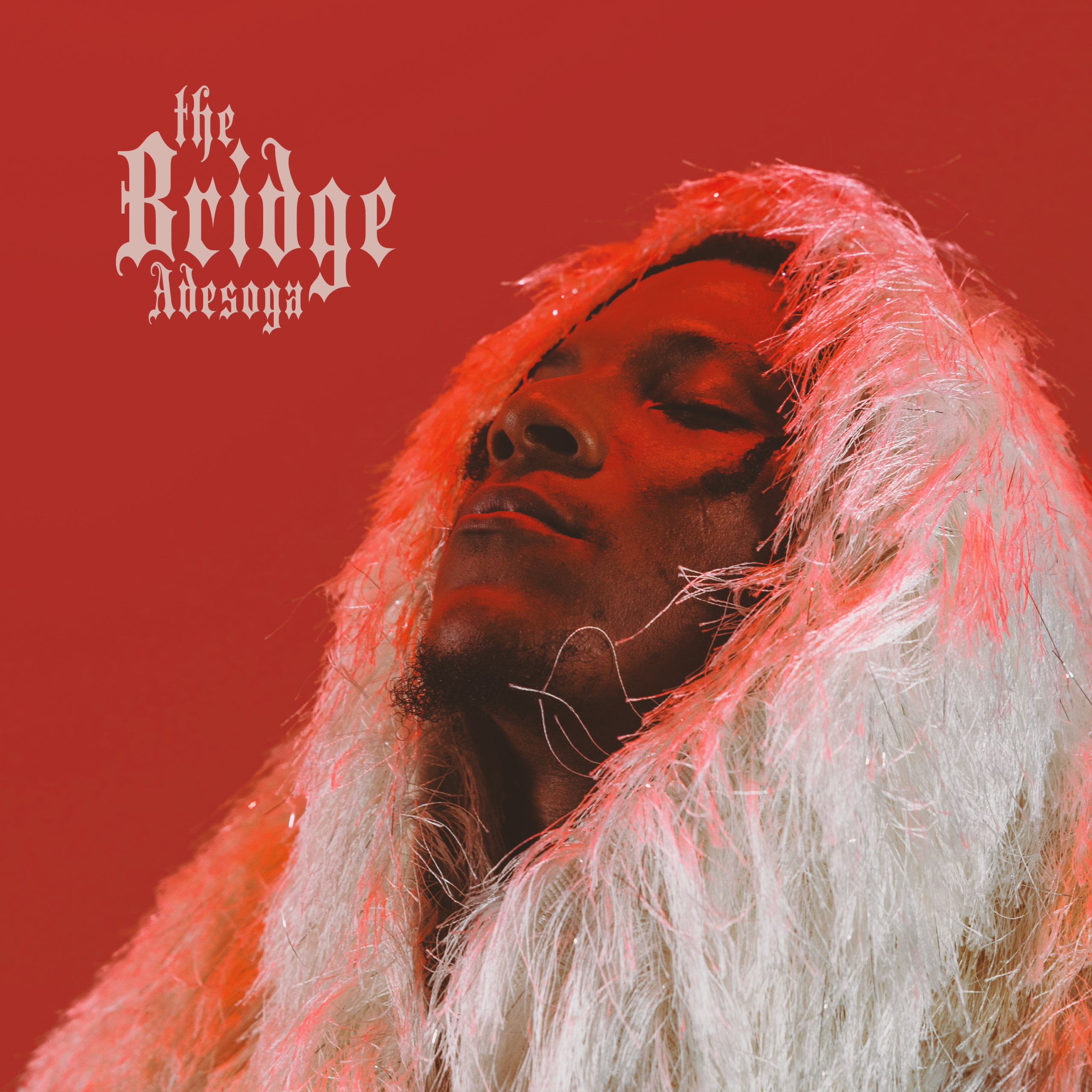 The Bridge EP